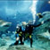 Dive With Sharks - Melbourne SEA LIFE Aquarium