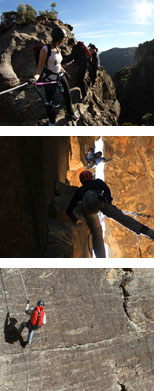 Abseiling Blue Mountains